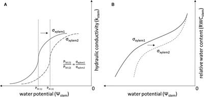 Is Decreased Xylem Sap Surface Tension Associated With Embolism and Loss of Xylem Hydraulic Conductivity in Pathogen-Infected Norway Spruce Saplings?